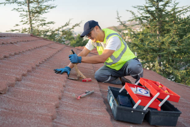 Best Roof Repair Services  in Ben Wheeler, TX